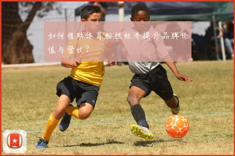 如何借助体育粉丝经济提升品牌价值与营收？