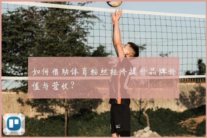 如何借助体育粉丝经济提升品牌价值与营收？