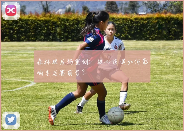 森林狼后场重创：核心伤退如何影响季后赛前景？